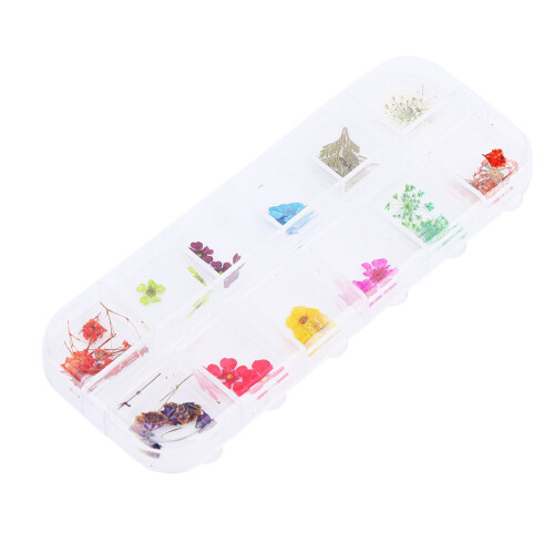 12-farbiges Dried-Flower-Nail-Art-Set 1