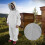 Professional Beekeeping Suit with Veil Hood XXL 3