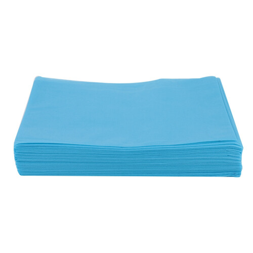 Telo Leto Monouso Impermeabile Blu Tavolo SPA