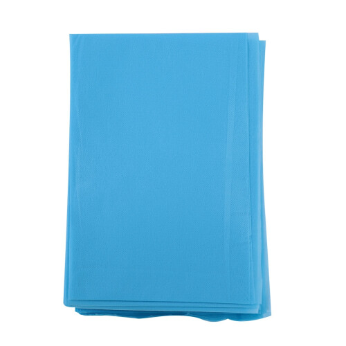 Telo Leto Monouso Impermeabile Blu Tavolo SPA 2