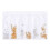 Pentagram Metal Rivets 3D Nail Art Decorations 09# 1