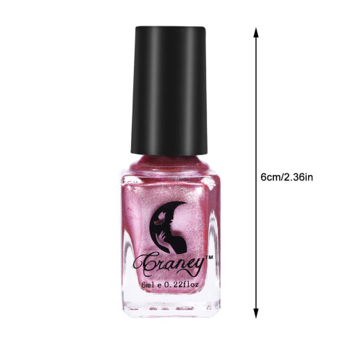 Metallic Silver Nail Polish 6ml Manicure #4 1