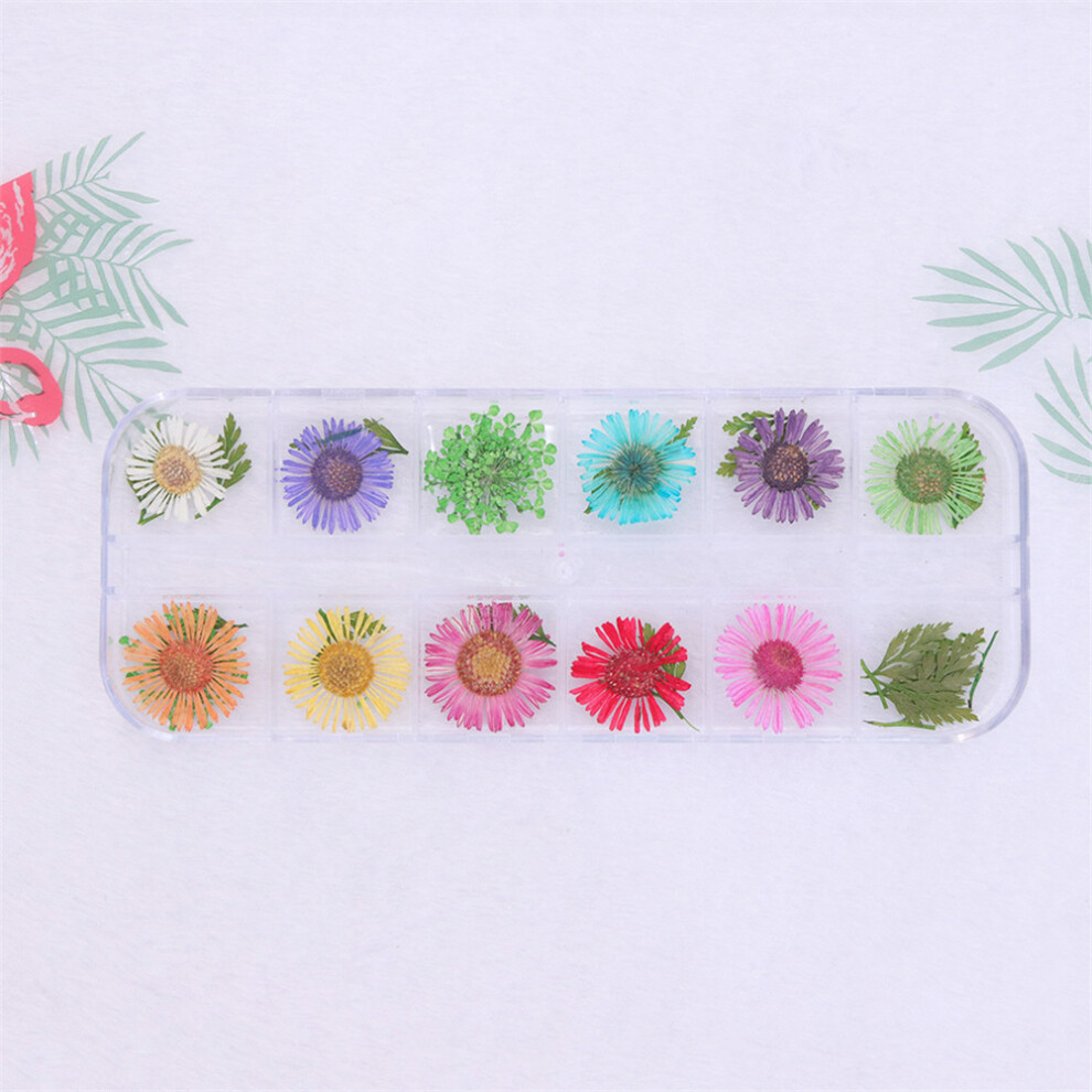 12 Grids Dried Flower Nail Art DIY Decoration