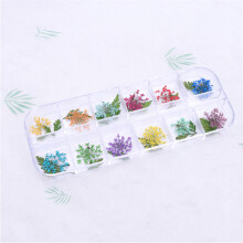 12 Grids Dried Flower Nail Art DIY Decor