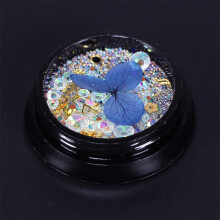 Nail Art Kit Glitter Beads & Blue Dry Flowers