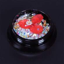 Nail Art Kit Glitter Beads & Red Dry Flowers