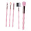 5-delig Make-up Kwasten Set Draagbaar Voor Beginners 1