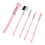 5-delig Make-up Kwasten Set Draagbaar Voor Beginners 4