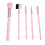 5-delig Make-up Kwasten Set Draagbaar Voor Beginners 5