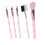5-delig Make-up Kwasten Set Draagbaar Voor Beginners 3