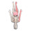 Anatomie Kit Menselijk Model Verwijderbare Organs 5