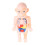 Human Body Structure Model Detachable Torso Anatomical Education Tool 5