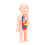 Human Body Structure Model Detachable Torso Anatomical Education Tool 2