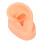 (Left) Soft Silicone Ear Model Tool w/ Black Stand R 4