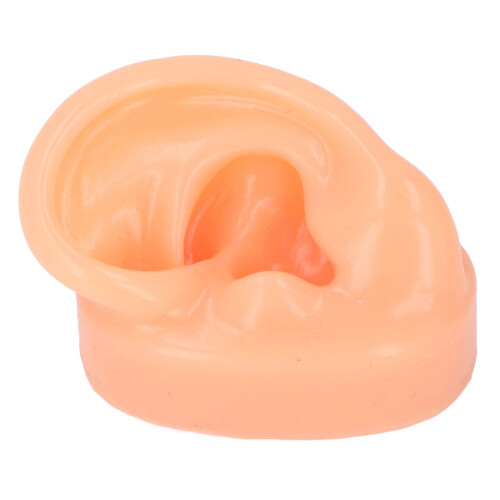 (Left) Soft Silicone Ear Model Tool w/ Black Stand R 2