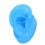 (Right Ear) Realistic Soft Silicone Ear Model with Stand R 3