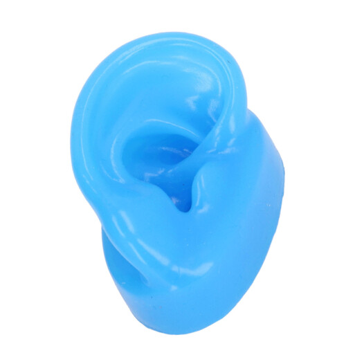(Right Ear) Realistic Soft Silicone Ear Model with Stand R 2