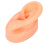 (Left) Soft Silicone Ear Model Tool w/ Black Stand R 2
