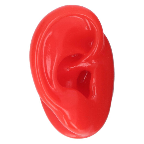 (Right Ear) Supporto Orecchio Silicone Morbido Realistico Sinistro 1