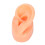 (Left) Soft Silicone Ear Model Tool w/ Black Stand R 5