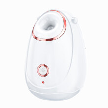 Tragbarer Gesichts-Dampfer 180ML Hydratisierender Nano-Dampf