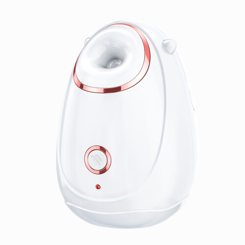 Tragbarer Gesichts-Dampfer 180ML Nano-Spray-Gerät 1