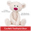 GUND Gund Toothpick Bear (38cm) (Confetti) 2