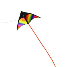 Fun & Educational Triangle Kite: 30m String for Kids & Adults