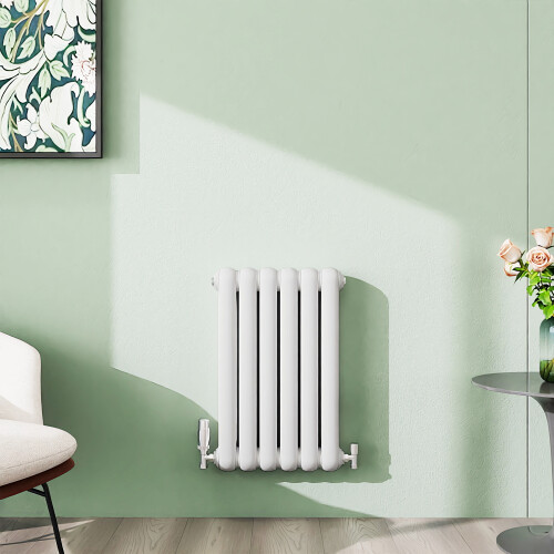 (White, 600x384mm) Modern Curved Panel 2 Column Radiator