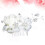 White Garen Haarkam Met Bruiloftsdecoratie 6