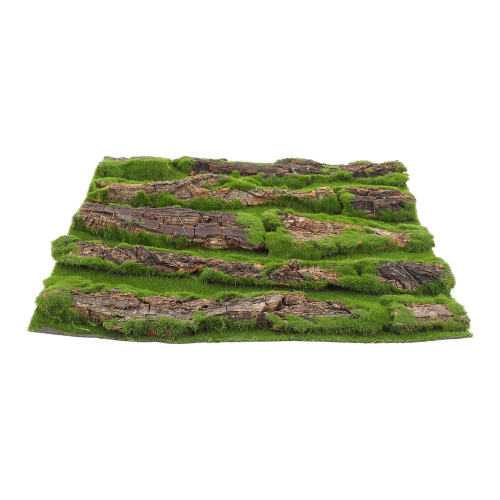 Bark Bakgrund För Och Reptilbur