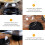 100 Måncakeaskar Locklådor För Inpackning ( ) 11