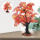 1Klein Rood Maple Tree Ornament Voor Tuinscène En Bureaustuk 8
