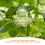 2St Ginsengformar För Växande Frukter, Buddhaform 8
