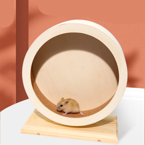 1 Styck Hamsterhjul För Chinchilla 1