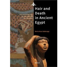 Hair and Death in Ancient Egypt by Maria Rosa Valdesogo Paperback Book