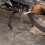 Motorcykel Hydraulisk Bromsslang Kopplingsledning För Scooter 4