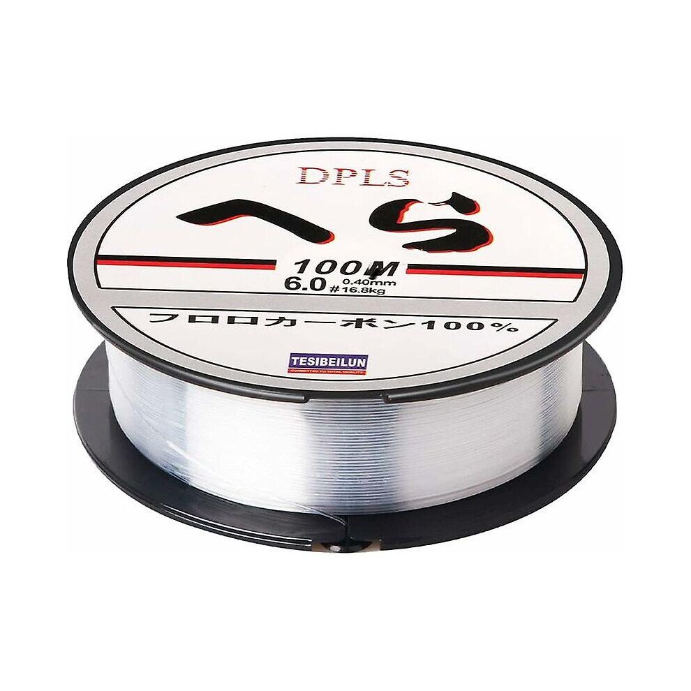 Kikidex (As Show, One Size) 100 Meters High Tension Nylon Fishing Line 0.4Mm Monofilament Fishing Line, Tensile Force About 9Kg