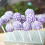 1 Set Lollipopstavar Med Påsar För DIY Förpackning 6