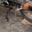 Motorcykel Hydraulisk Bromsslang Kopplingsledning För Scooter 4