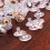 200 Embouts De En Silicone Transparent Pour Boucles D’oreilles 10