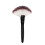 Wood Handle Fläktborste För Blush, Löst Puder, Foundation 10