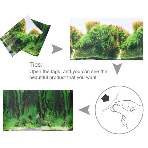 Fish Tank Achtergrond Decor Afbeelding Aquarium Sticker 2