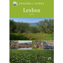 Lesbos by Alex Tabak Paperback Book