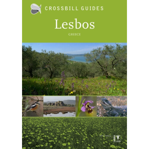 Lesbos by Alex Tabak Paperback Book