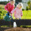 Van Plastic Grasveld Scherm Sierbeplantingsrand 9