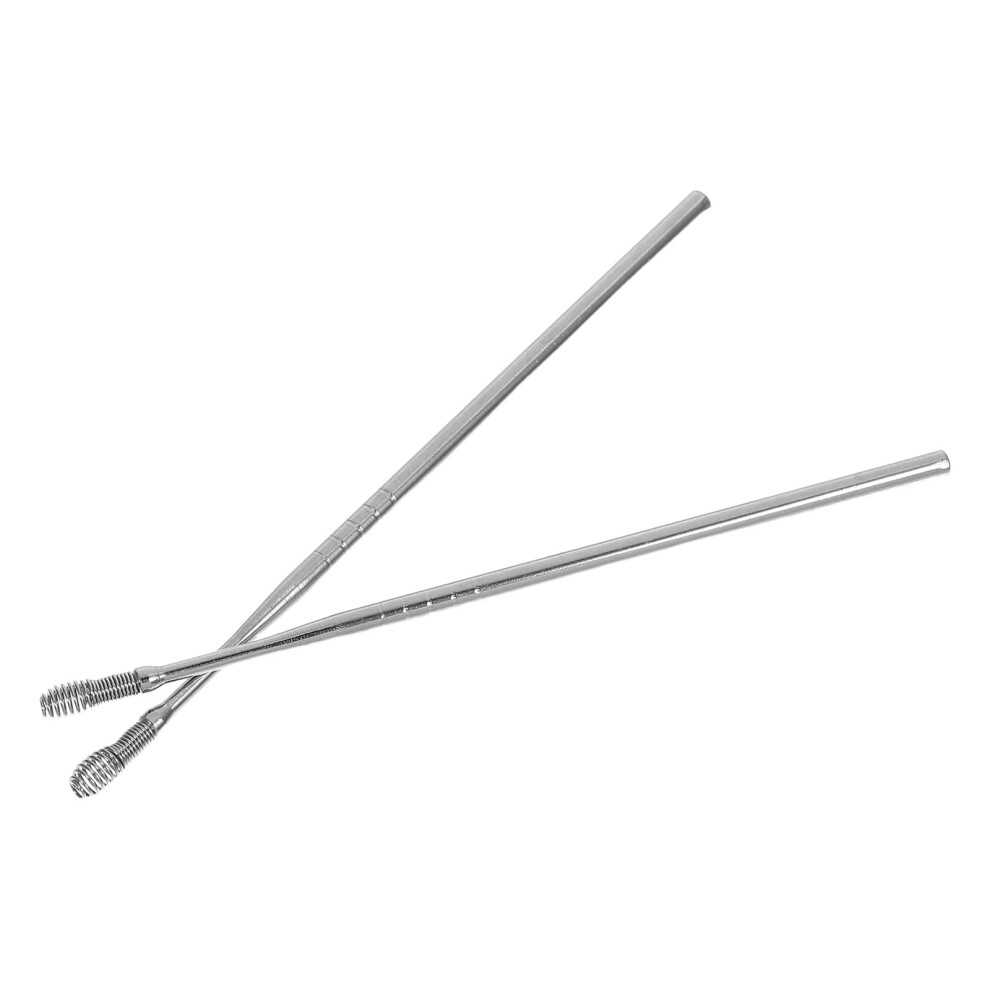 Inoomp 2Pcs Anti-Rust Stainless Steel Spiral Ear Wax Remover Cleaner