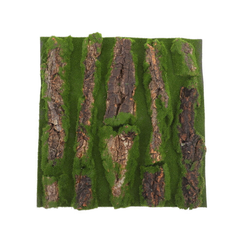 Bark Bakgrund För Reptilbur 2