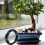 1Set Zwart Bonsai Kit Koperen- En Plastic DIY Training 9