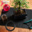 1Set Zwart Bonsai Kit Koperen- En Plastic DIY Training 10